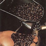 Основные сорта несмешанного кофе