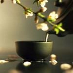 История чая в Китае. Окончание 