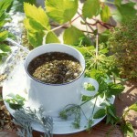Рецепт приготовления лечебного чая для оздоровления почек