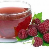 Полезные свойства чая из листьев малины