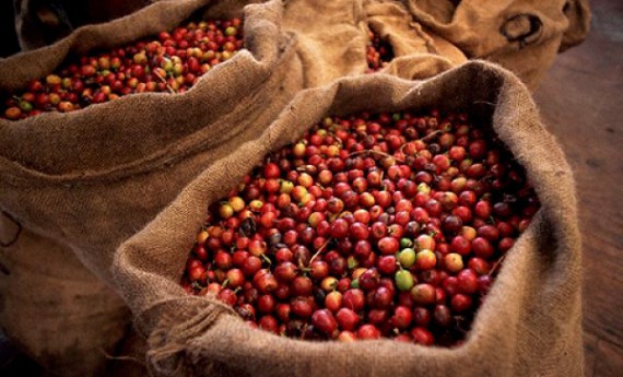 В Челябинской области пришли перемены в кофейное производство